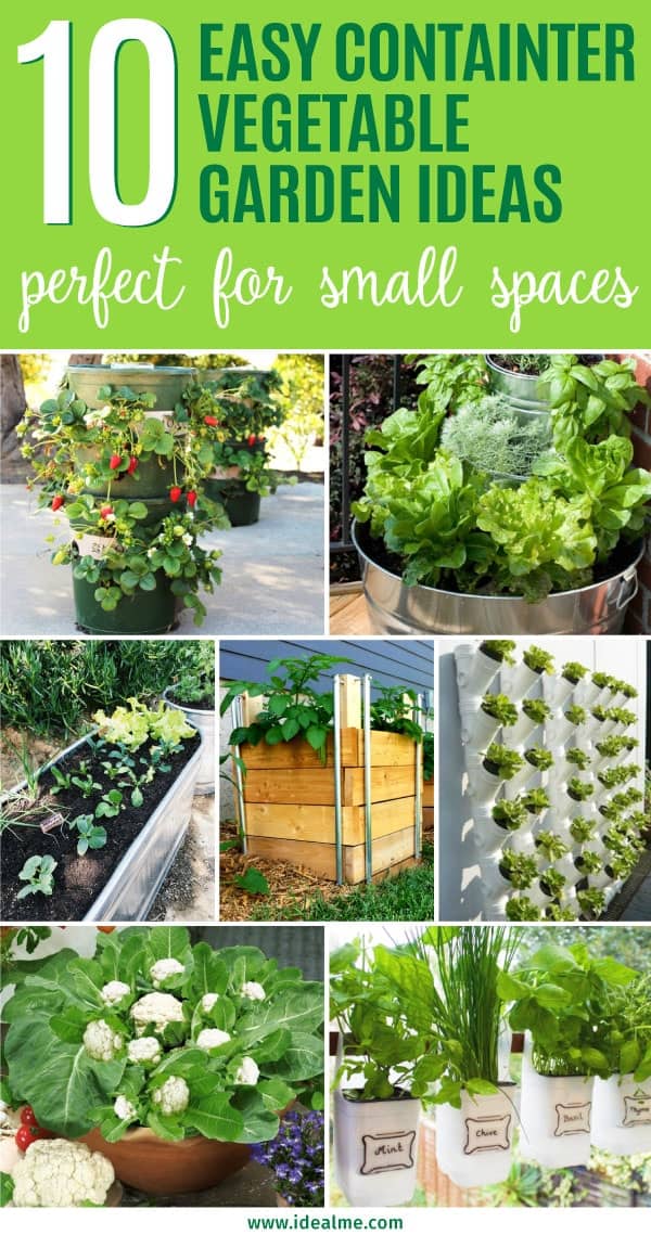 10 Easy Container Vegetable Garden Ideas for Your Yard ...