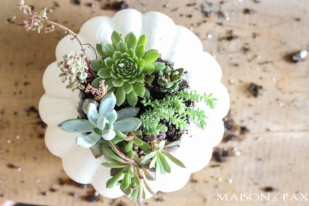 If you're looking to make a beautiful succulent planter, then the following 17 easy DIY indoor succulent planter ideas may be just what you're looking for.