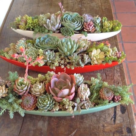 If you're looking to make a beautiful succulent planter, then the following 17 easy DIY indoor succulent planter ideas may be just what you're looking for.