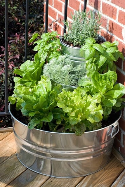 Enjoy tasty, homegrown vegetables on your doorstep, deck, patio, balcony, or garden with these 10 easy container vegetable garden ideas.