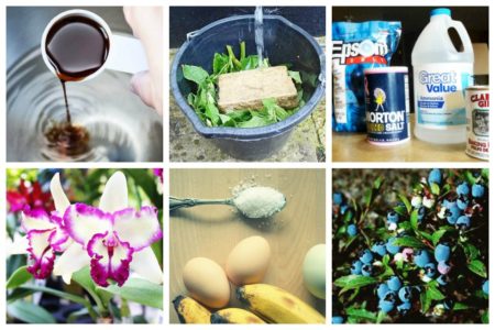 These homemade fertilizer recipes for gardeners are perfect for all types of plants - whether you they are indoors, outdoors, fruit-bearing plants, or your lawn!