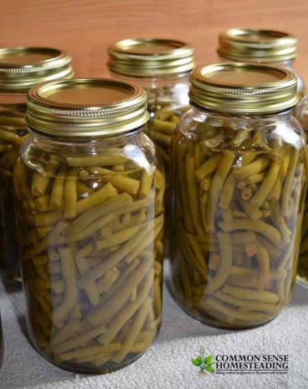 canned green beans - recipe canning vegetables