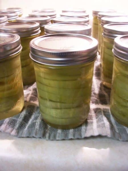 canned green tomatoes - recipe canning vegetables
