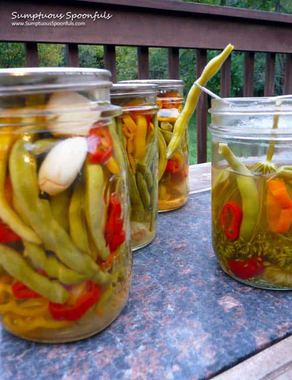 crisp spicy pickled green beans - recipe canning vegetables