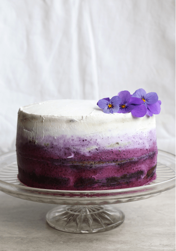 Gluten Free Blueberry Cake with Coconut Frosting