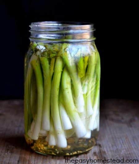 pickled green onions - recipe canning vegetables