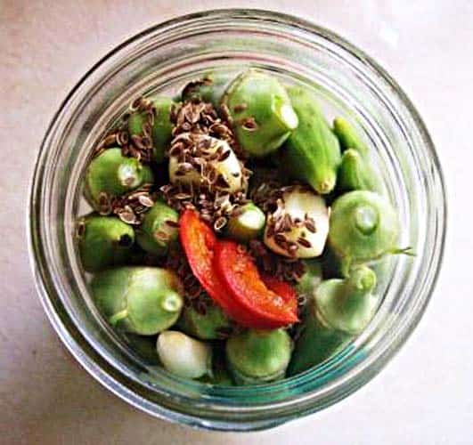 pickled okra - recipe canning vegetables