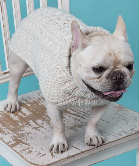 Here are some adorable knitting patterns to keep your furry friends warm. Find the perfect pattern in our list of 14 knit pet sweater patterns.
