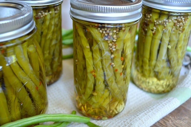 Garlic Spiced Canned Pickled Beans - recipes for canning beans