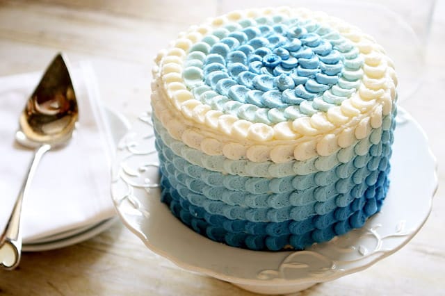 Ombre Petals - birthday cake decorating ideas