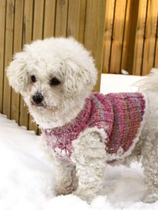 14 Knit Pet Sweater Patterns to Keep Your Furry Friends Warm - Ideal Me