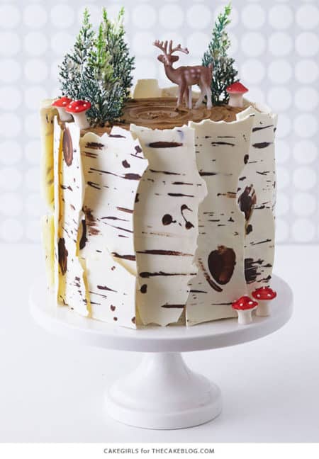 Winter Birch Log Cake - birthday cake decorating ideas