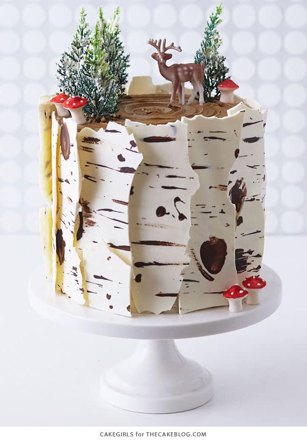 Winter Birch Log Cake - birthday cake decorating ideas