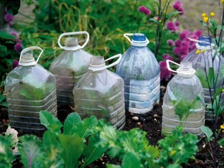 Cloches and Cold Frames - fall gardening tips