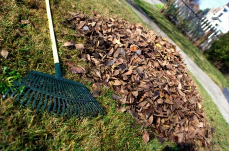 Don't Bag Leaves - fall gardening tips