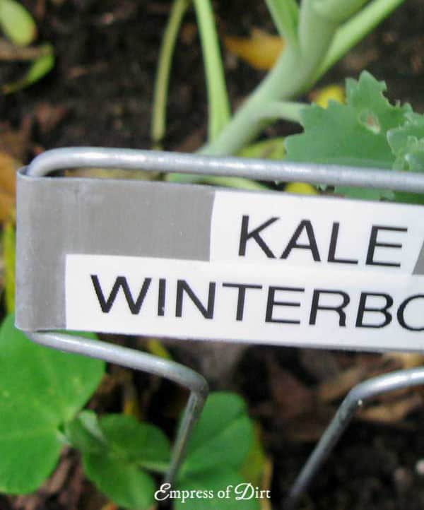Use Tough Plant Tags - fall gardening tips
