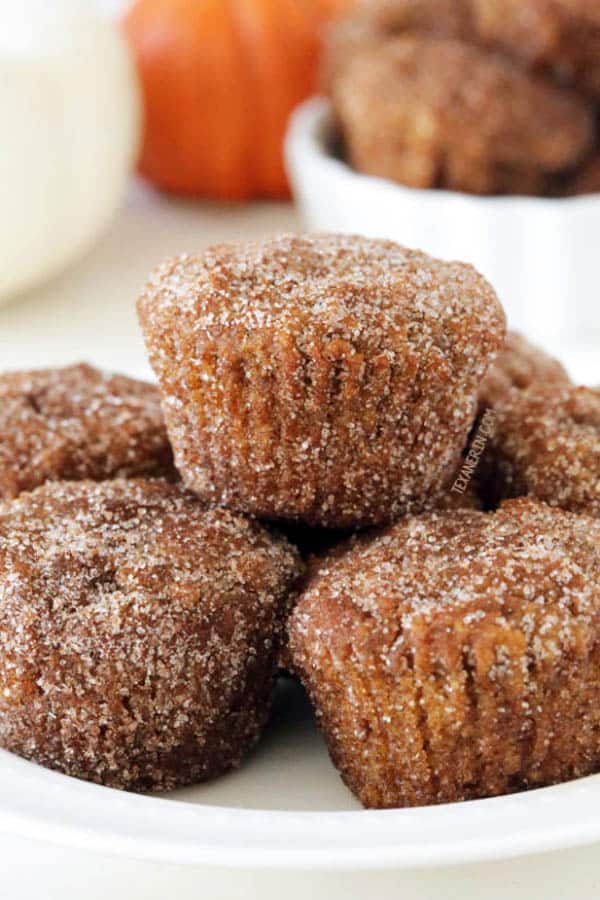 Cinnamon Sugar Pumpkin Donut Holes - gluten-free desserts