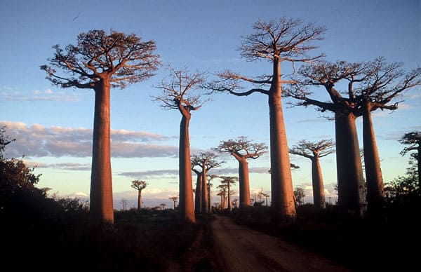 Madagascar, East Africa - unique travel destinations