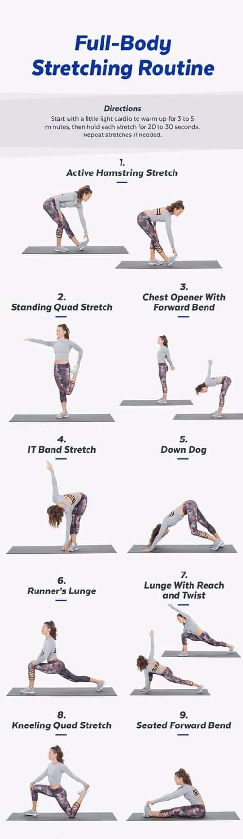 whole-body-stretching-routine - Definition Fitness