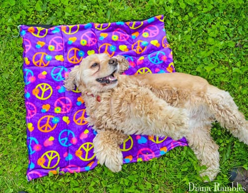 Cooling Mat - sew for your pets
