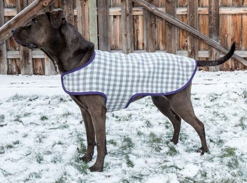 Dainty Coat - sew for your pets