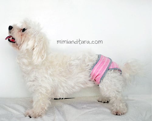 Diaper - sew for your pets