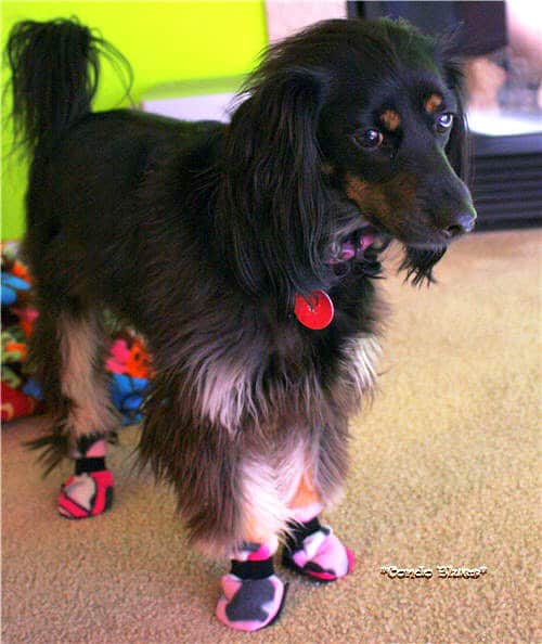 Dog Boots - sew for your pets