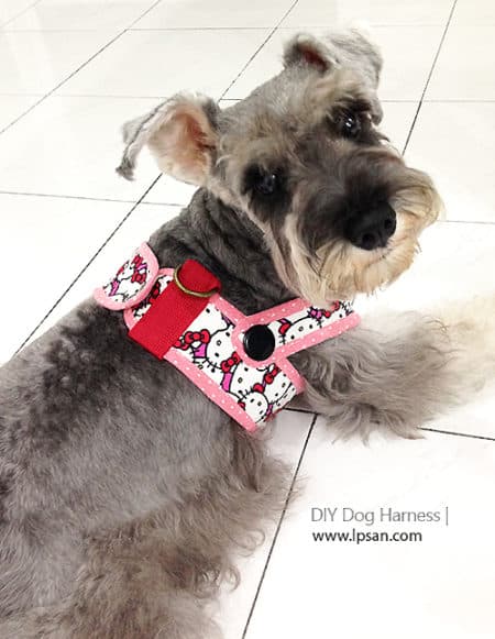 Harness - sew for your pets