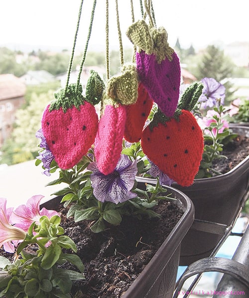 Strawberry Pouch