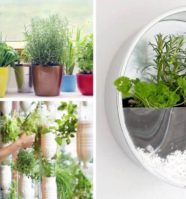 8 Easy Indoor Vegetable Gardens