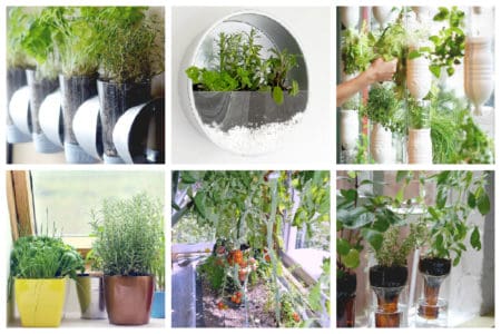 It’s easier than you think and we’ve put together 8 Easy Indoor Vegetable Gardens so that you can grow your own fresh veggies all year round. #indoorvegetablegarden #vegetablegarden #minigarden