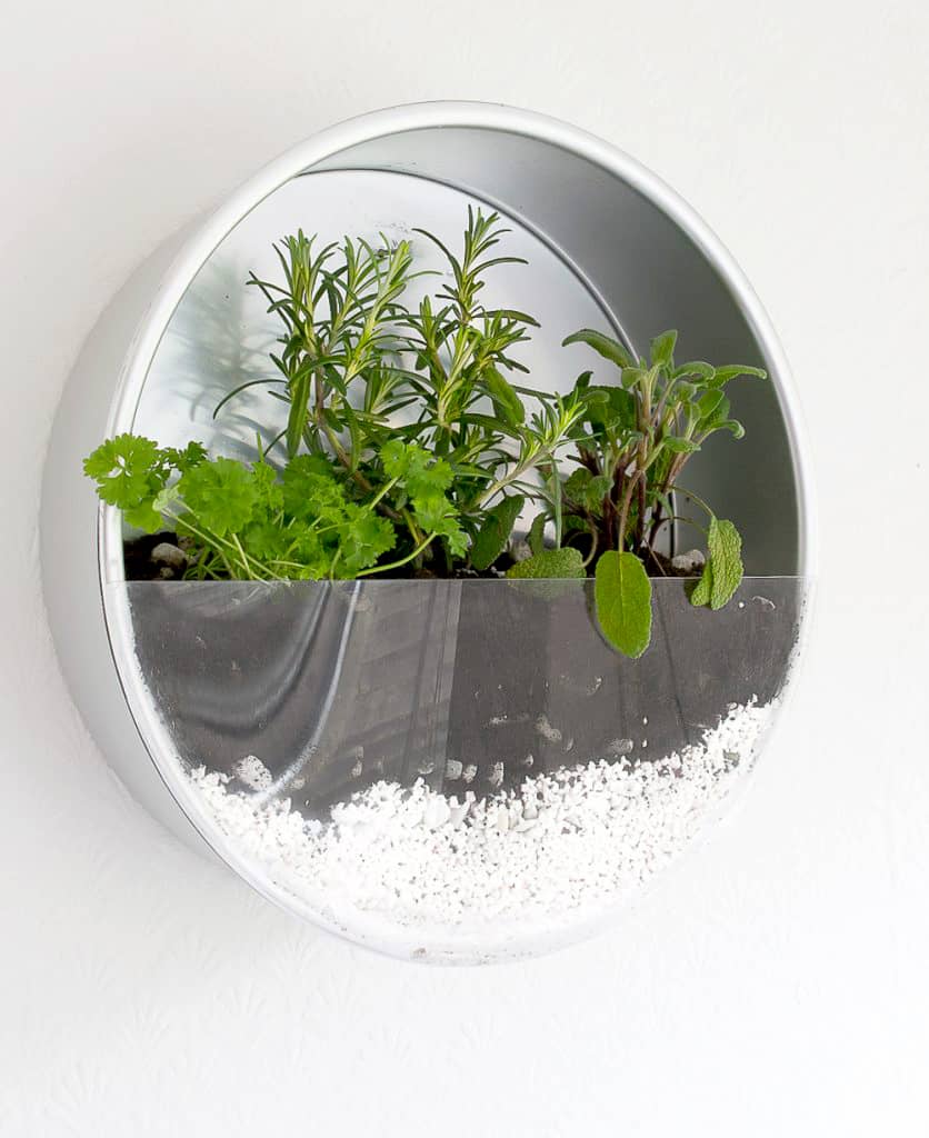 Indoor Herb Planter