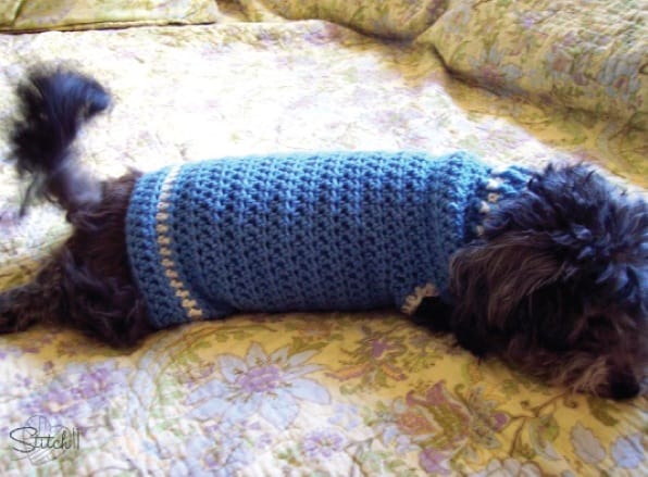 Size S Dog Sweater