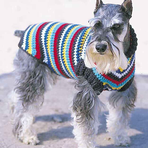 Bernat Crochet Dog Coat Free Pattern