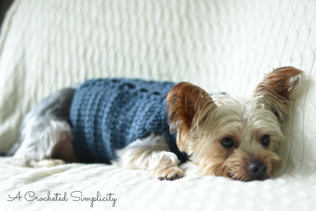 Cabled Dog Sweater Crochet Pattern