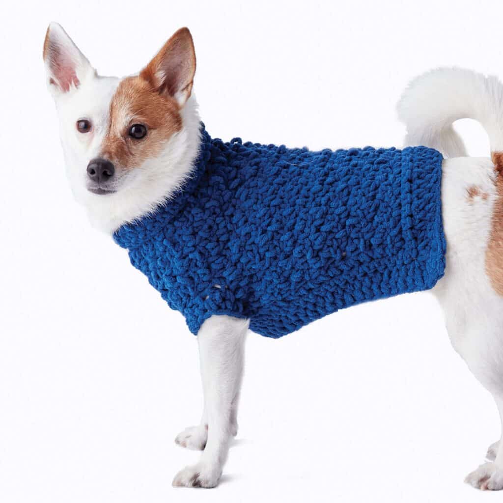 Crochet Dog Coat Pattern