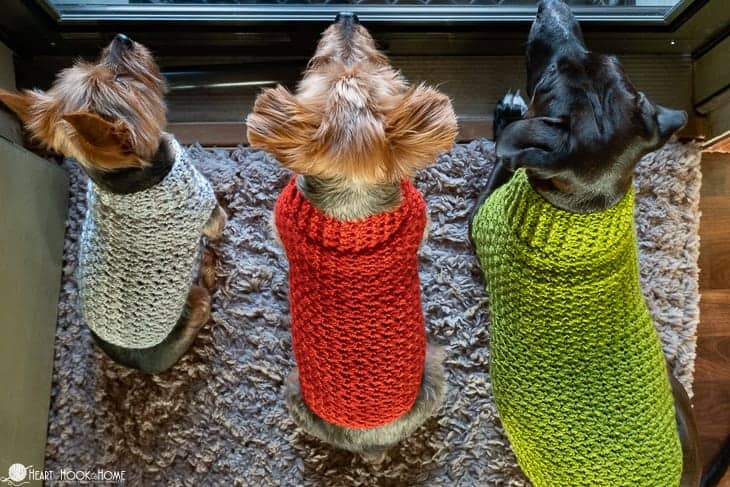 Dandy Dog Crochet Sweater Pattern