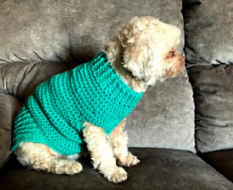 Doggy Sweater Size Small